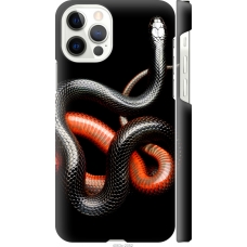 Чохол на iPhone 12 Червоно-чорна змія на чорному фоні 4063m-2053