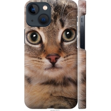 Чохол на iPhone 13 Mini Смугастий котик 2978m-2373