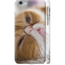 Чохол на iPhone 6s Смішний персидський кіт 3069m-90