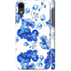 Чохол на iPhone XR Блакитні орхідеї 4406m-1560
