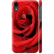 Чохол на iPhone XR Червона троянда 529m-1560
