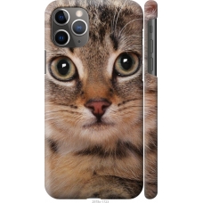 Чохол на iPhone 11 Pro Max Смугастий котик 2978c-1723