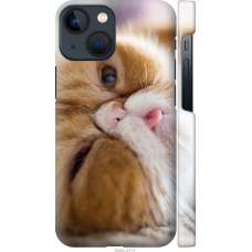 Чохол на iPhone 13 Mini Смішний персидський кіт 3069m-2373