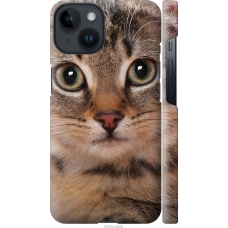Чохол на iPhone 14 Смугастий котик 2978m-2648