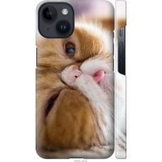 Чохол на iPhone 14 Смішний персидський кіт 3069m-2648