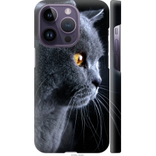 Чохол на iPhone 14 Pro Гарний кіт 3038m-2646