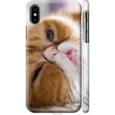 Чохол на iPhone X Смішний персидський кіт 3069m-1050