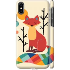 Чохол на iPhone XS Max Rainbow fox 4010m-1557
