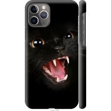 Чохол на iPhone 11 Pro Чорна кішка 932m-1788