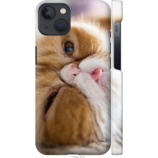 Чохол на iPhone 13 Смішний персидський кіт 3069m-2374
