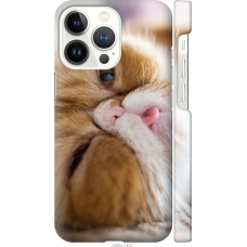 Чохол на iPhone 13 Pro Смішний персидський кіт 3069m-2372