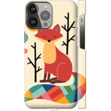 Чохол на iPhone 13 Pro Max Rainbow fox 4010m-2371