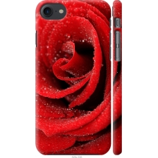 Чохол на iPhone 7 Червона троянда 529m-336