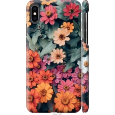 Чохол на iPhone XS Max Beauty flowers 4050m-1557