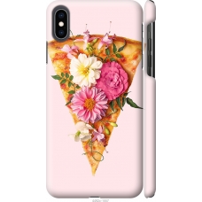 Чохол на iPhone XS Max pizza 4492m-1557