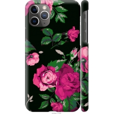 Чохол на iPhone 11 Pro Max Троянди на чорному фоні 2239c-1723