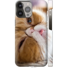 Чохол на iPhone 13 Pro Max Смішний персидський кіт 3069m-2371