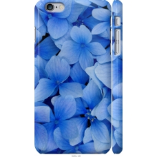 Чохол на iPhone 6 Plus Сині квіти 526m-48