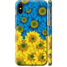 Чохол на iPhone X Жовто-блакитні квіти 1048m-1050