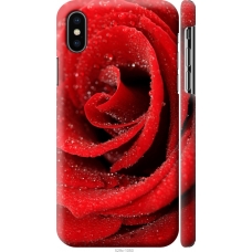 Чохол на iPhone XS Червона троянда 529m-1583