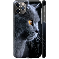 Чохол на iPhone 11 Pro Max Гарний кіт 3038c-1723