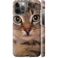 Чохол на iPhone 12 Pro Max Смугастий котик 2978m-2054