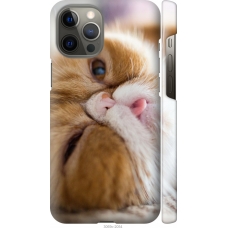 Чохол на iPhone 12 Pro Max Смішний персидський кіт 3069m-2054