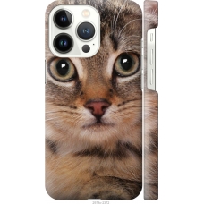 Чохол на iPhone 13 Pro Смугастий котик 2978m-2372