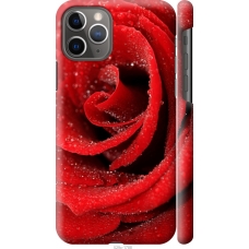 Чохол на iPhone 11 Pro Червона троянда 529m-1788