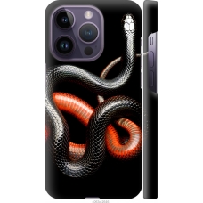 Чохол на iPhone 14 Pro Червоно-чорна змія на чорному фоні 4063m-2646