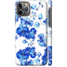 Чохол на iPhone 11 Pro Блакитні орхідеї 4406m-1788