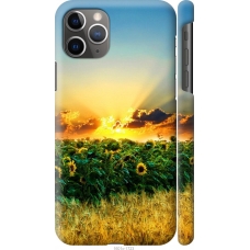 Чохол на iPhone 11 Pro Max Україна 1601c-1723