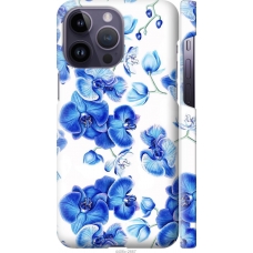 Чохол на iPhone 14 Pro Max Блакитні орхідеї 4406m-2667