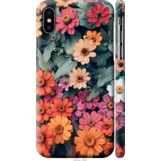 Чохол на iPhone X Beauty flowers 4050m-1050