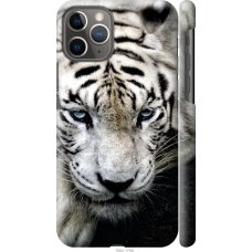 Чохол на iPhone 11 Pro Сумний білий тигр 106m-1788