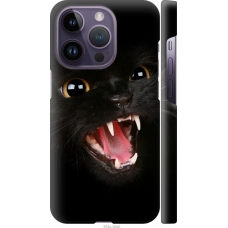 Чохол на iPhone 14 Pro Чорна кішка 932m-2646