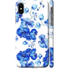 Чохол на iPhone XS Блакитні орхідеї 4406m-1583