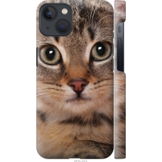 Чохол на iPhone 13 Смугастий котик 2978m-2374