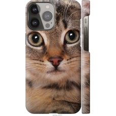 Чохол на iPhone 13 Pro Max Смугастий котик 2978m-2371