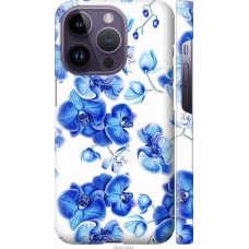 Чохол на iPhone 14 Pro Блакитні орхідеї 4406m-2646