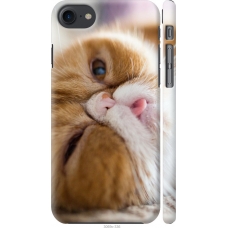 Чохол на iPhone 8 Смішний персидський кіт 3069m-1031