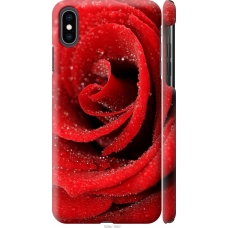 Чохол на iPhone XS Max Червона троянда 529m-1557
