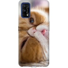 Чохол на Realme 7 Pro Смішний персидський кіт 3069u-2082