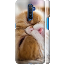 Чохол на Realme X2 Pro Смішний персидський кіт 3069m-1866