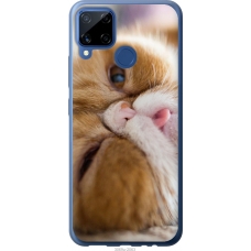 Чохол на Realme C15 Смішний персидський кіт 3069u-2063