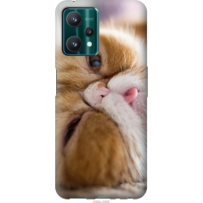 Чохол на Realme 9 Pro Смішний персидський кіт 3069u-2595