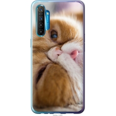 Чохол на Realme XT Смішний персидський кіт 3069u-1868