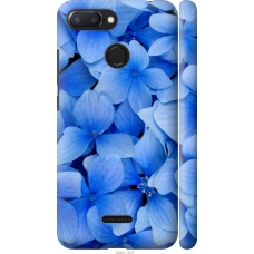 Чохол на Xiaomi Redmi 6 Сині квіти 526m-1521
