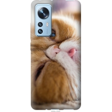 Чохол на Xiaomi 12X Смішний персидський кіт 3069u-2941