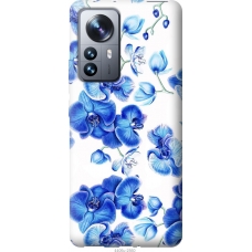 Чохол на Xiaomi 12 Pro Блакитні орхідеї 4406u-2560
